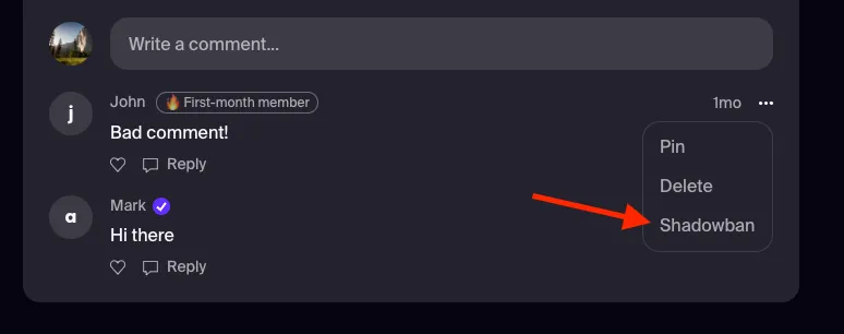 A screenshot showing how to shadowban disruptive members (by clicking the "..." to the top right of a comment)