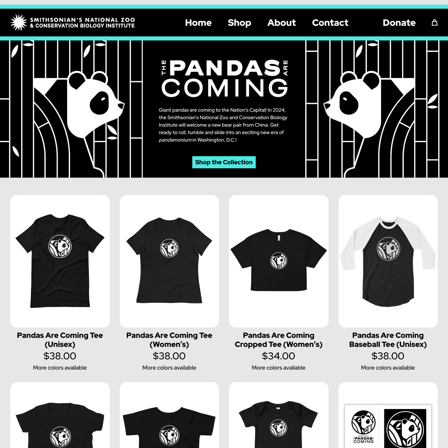 Fourthwall Creator Headshot