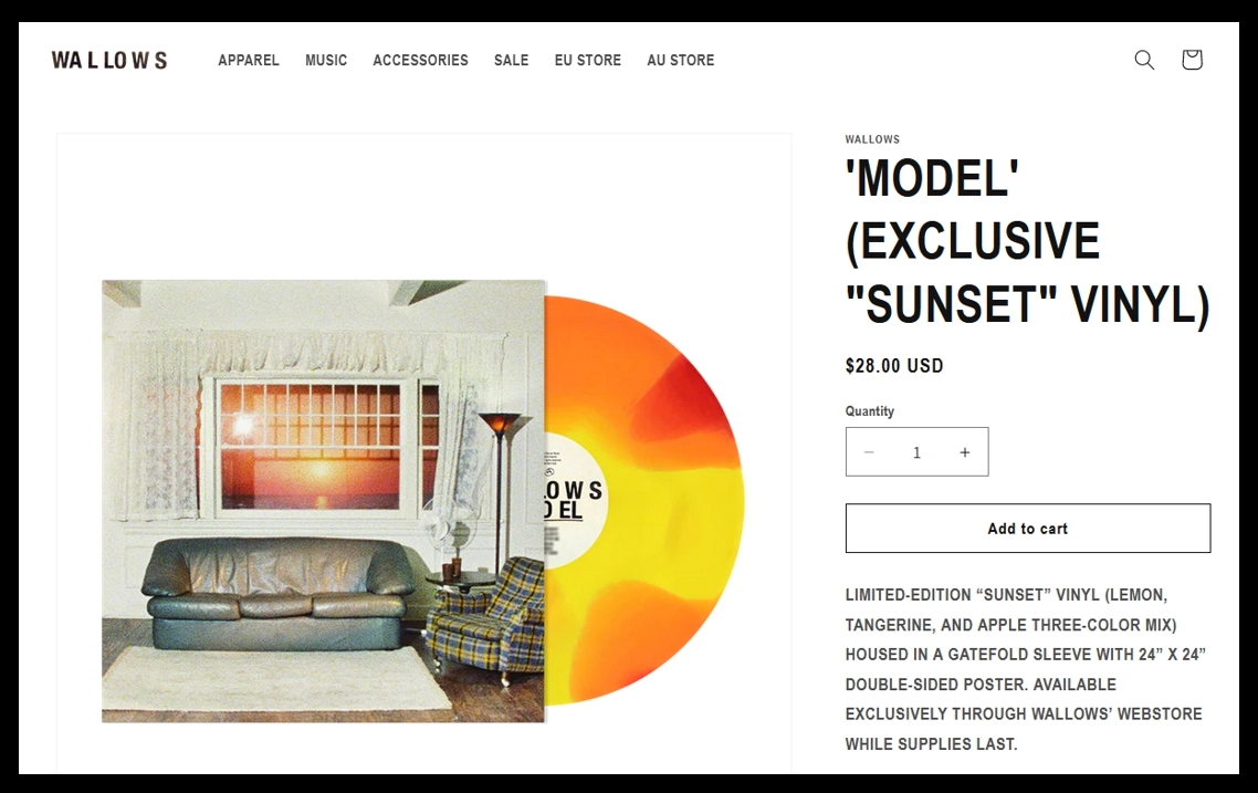 Wallows vinyl record merch