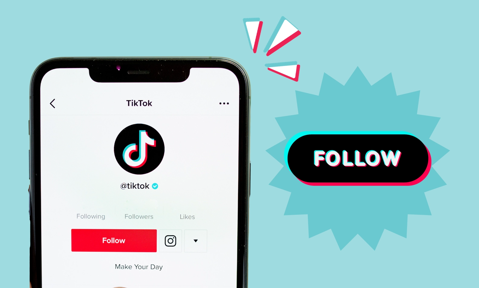 TikTok Follower blog image