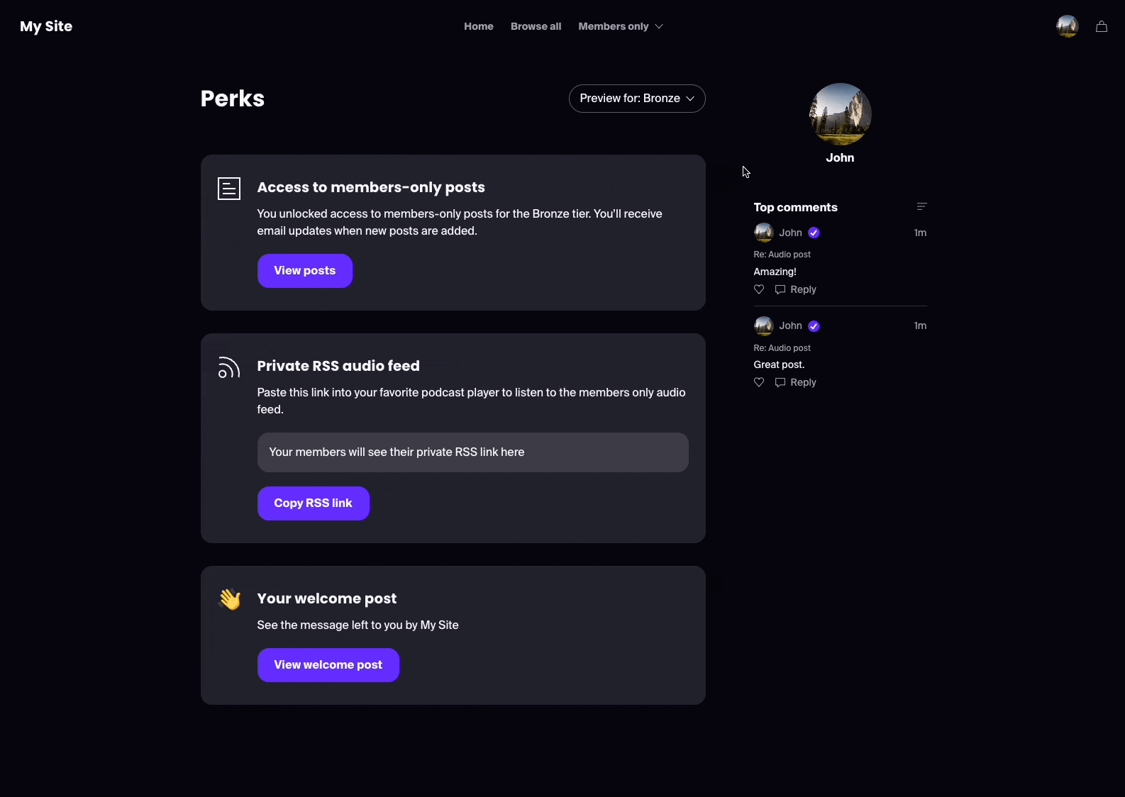 A demonstration of previewing the perks tab by different tiers