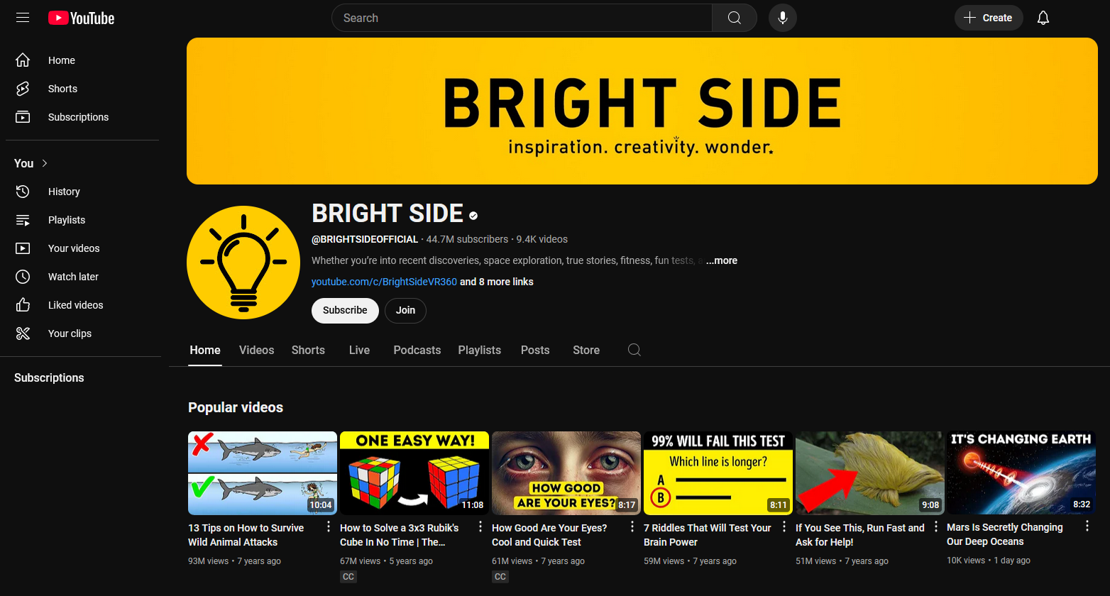 Screenshot of Bright Side YouTube channel