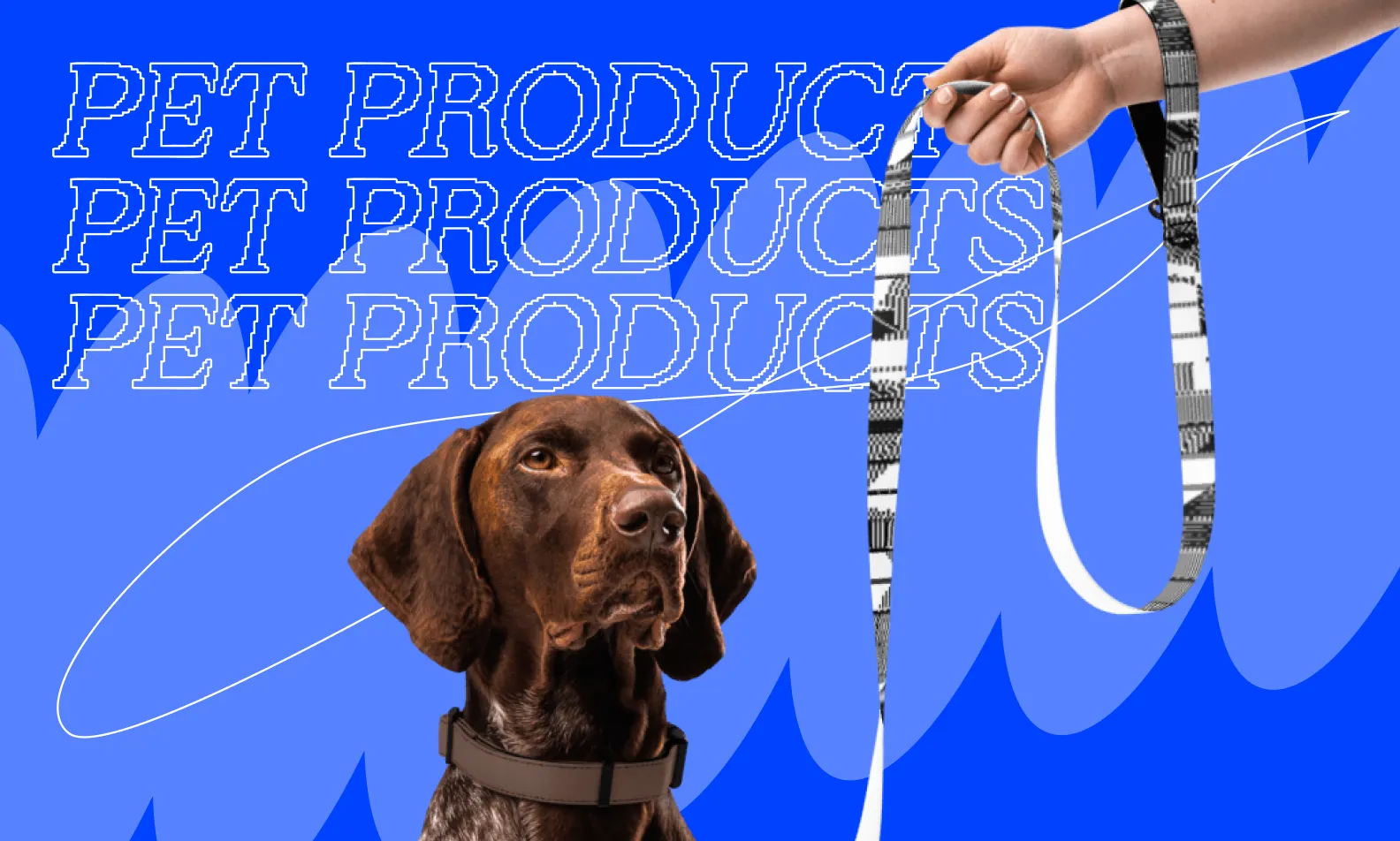 Dog owner showing a dog his brand new leash