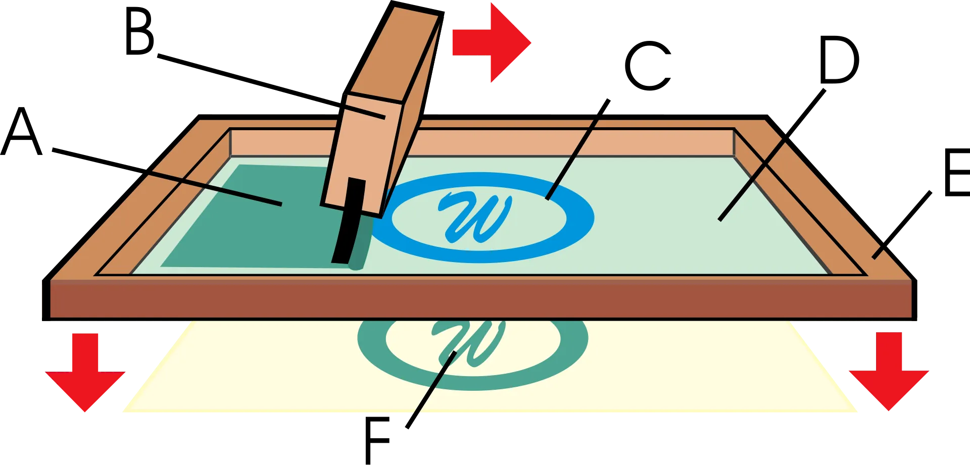 Diagram showing how screen printing works