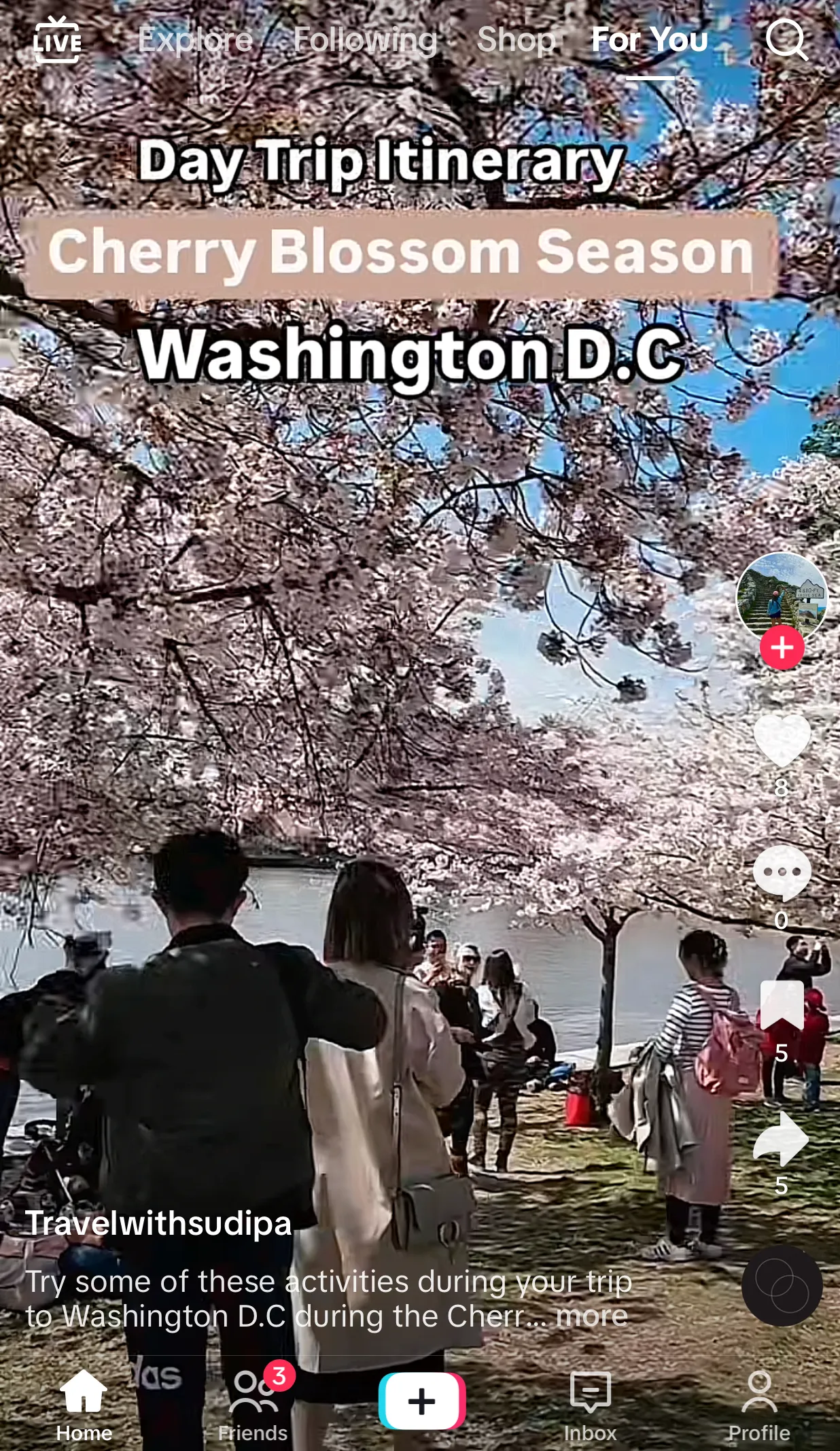 Destination TikTok about cherry blossom season in Washington DC