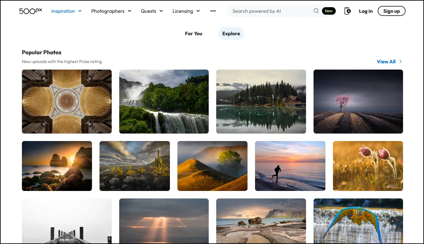 Front page of 500px site showing assortment of photos