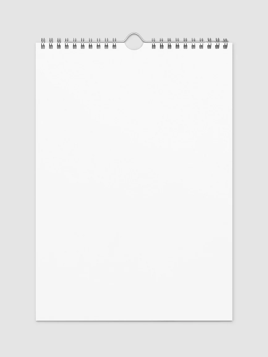 Wall Calendar (2025)