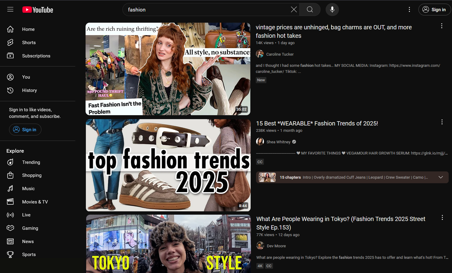 Sample YouTube channels showing specific fashion niches