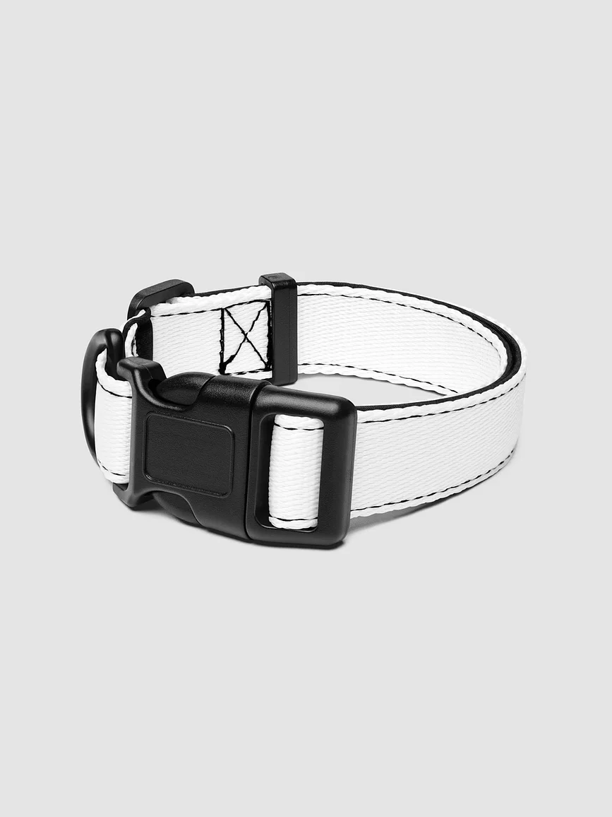 Pet Collar