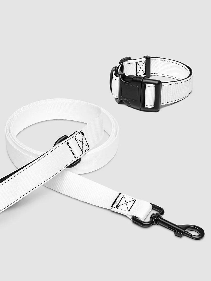 Pet Collar & Leash