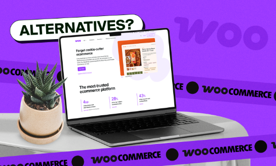 WooCommerce Alternatives Image
