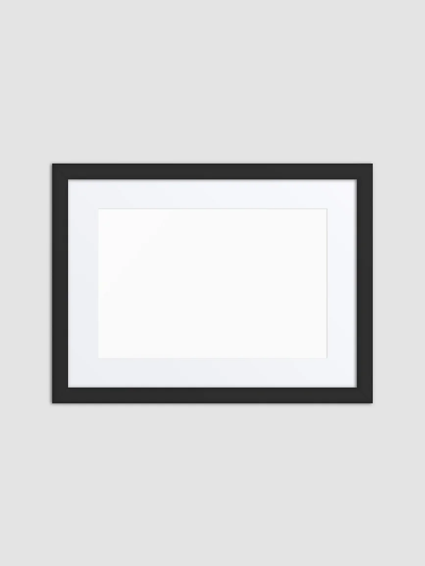Matte Paper Framed Poster With Mat