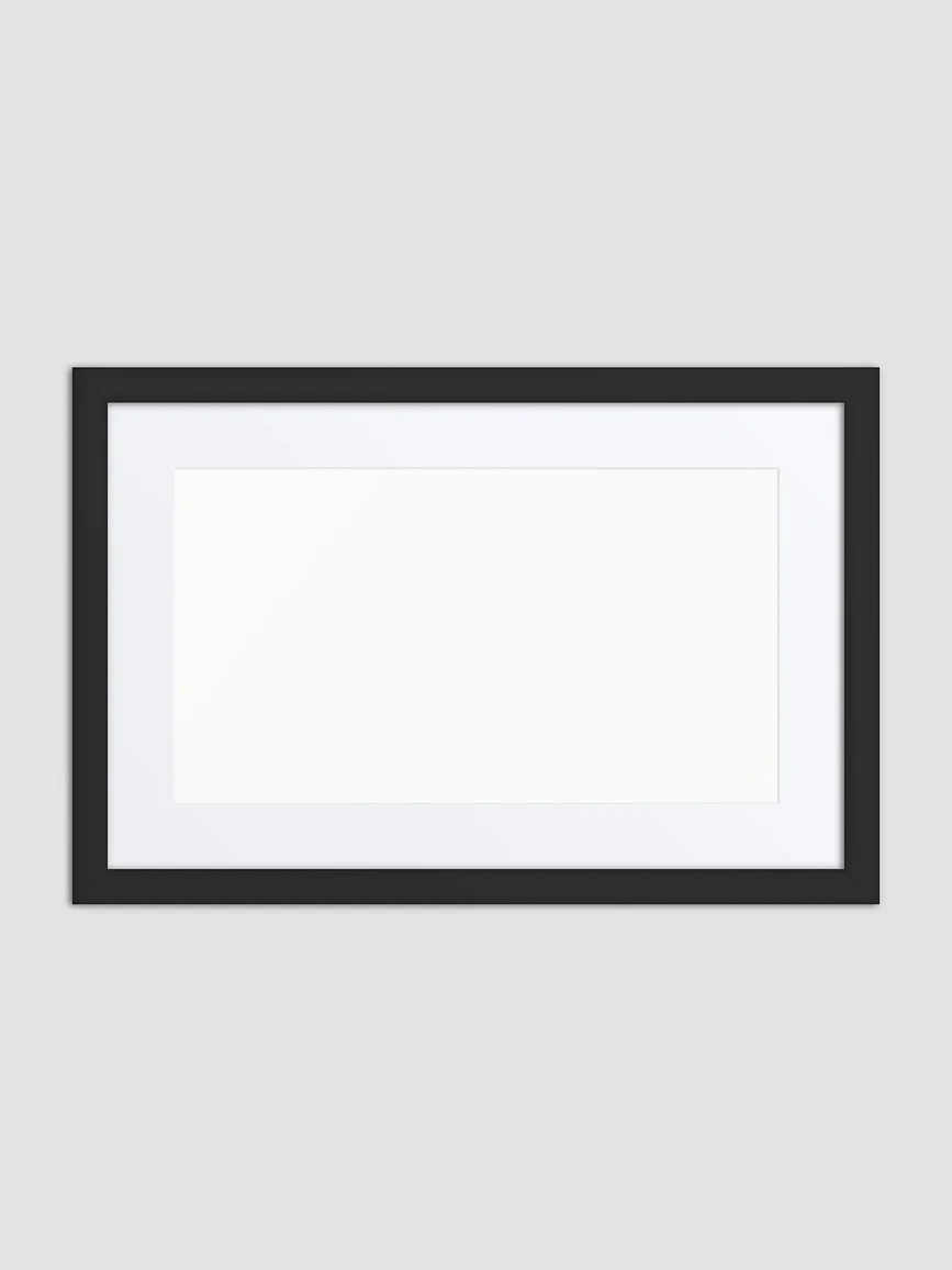 Matte Paper Framed Poster With Mat